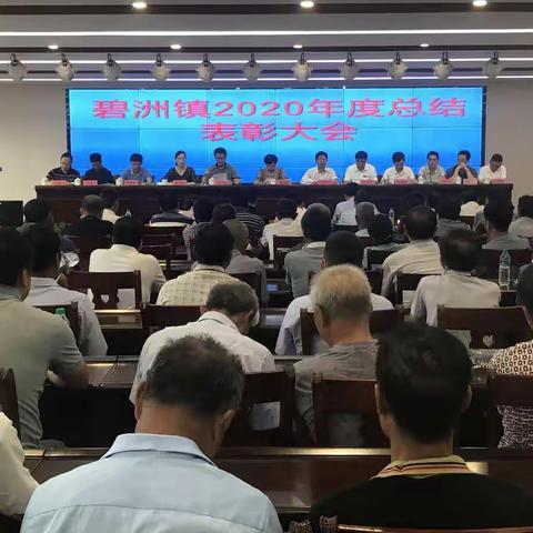 碧洲镇召开2020年度总结表彰大会