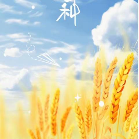 芒种至，仲夏始—水沐青华幼儿园二十四节气鉴赏课《芒种》