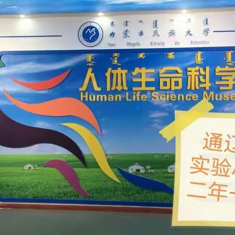 走进人体生命科学馆   了解生命的力量 ——记2021年通辽市实验小学二年一班参观内蒙古民族大学人体生命科学馆