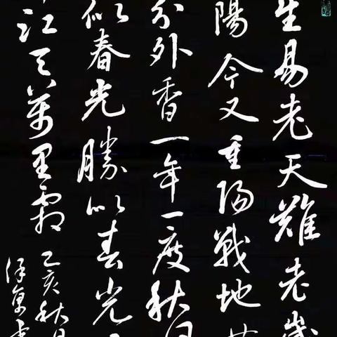 翰墨丹青度重阳