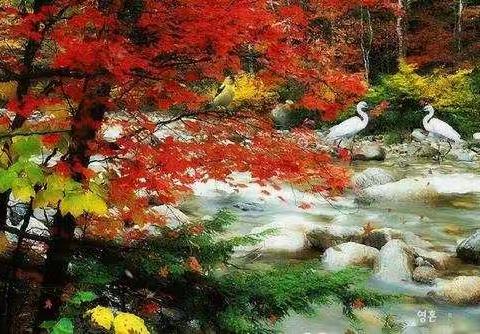 山东老年书画研究会省直72研究组书画作品之一