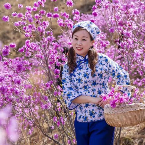 芳菲满路映山红，四月朝阳怒放中蕊吐芬馨娇不尽，瓣开鲜艳媚无穷