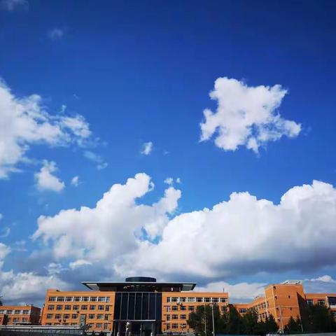 【立足理念重实效 齐心协力谱新篇】——长春市第二实验中学网络授课阶段性总结调度会