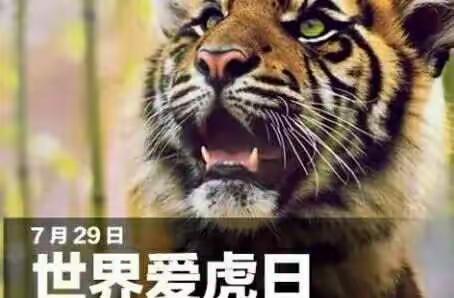 我们在行动——暑假社会实践活动（五）:走进吉林省自然博物馆