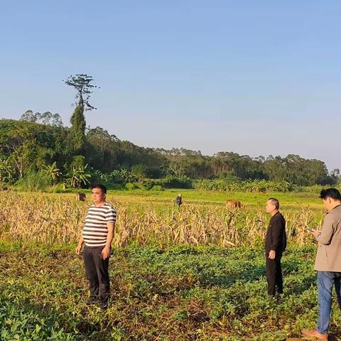 东英镇加强秸秆燃烧防控巡查