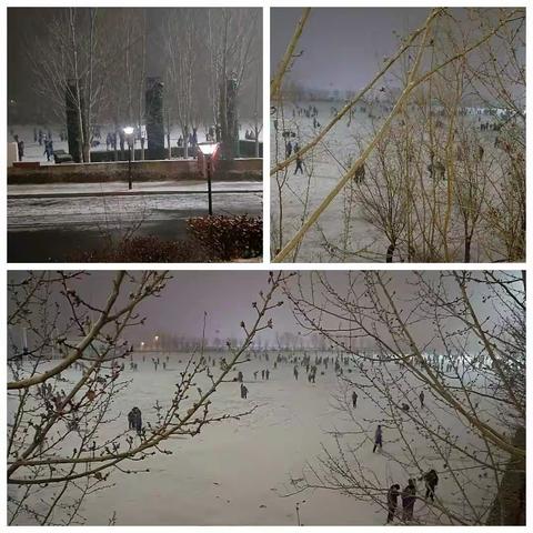 邂逅一场雪                                                  ——2020.1.8