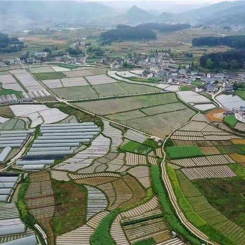 银江坝上好风光