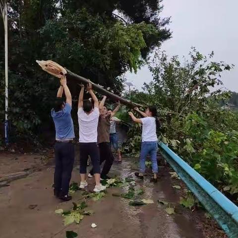 海龙声音 海龙速度 海龙激情