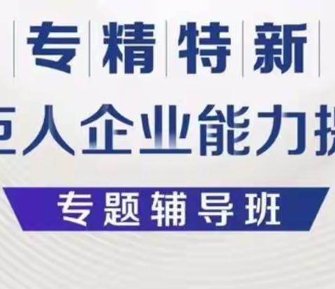 专精特新小巨人企业能力提升专题辅导班