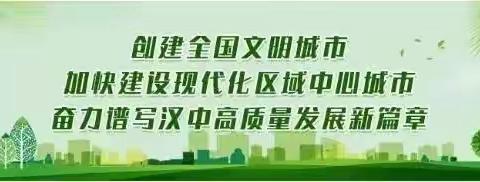 “为创文出力，为城市添彩”志愿活动