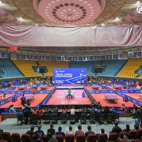 “我要上全运“乒乓球选拔赛报捷  信阳健儿喜获佳绩