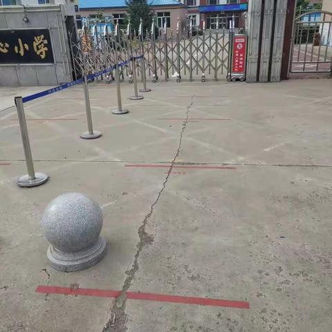 花开“疫”散彩虹现，全力以“复”读书欢