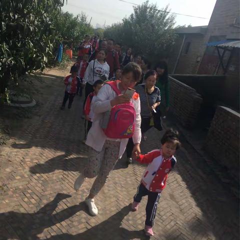 秋游采摘活动    【阳光☀️的果实】