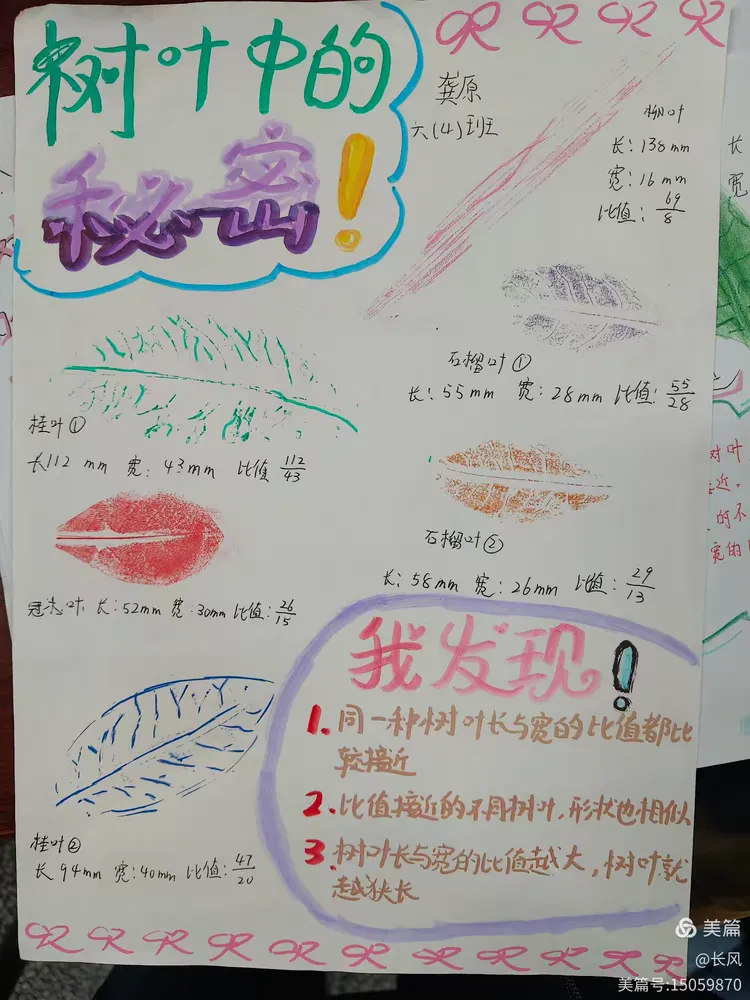 小升初数学测量活动（树叶面积）的简单介绍