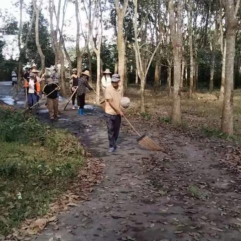 迎新春，人居环境卫生整治