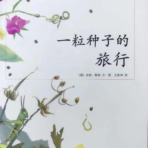 科学绘本《一粒种子的旅行》小一班 唐子晨