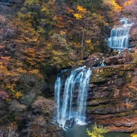 黎坪红叶甲天下