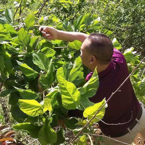 我们的快乐五一