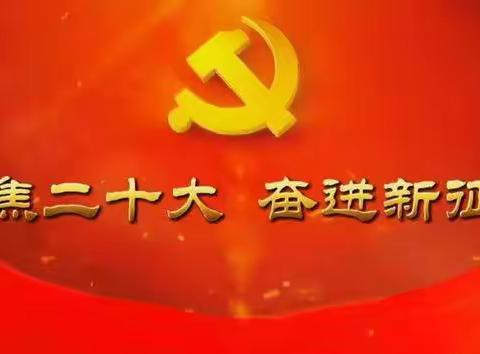 聚焦二十大|奋进新征程 海口市审计局各党支部委员谈感悟