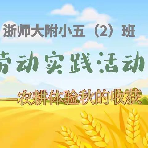 浙师大附小五（2）班劳动实践——农耕体验秋的收获