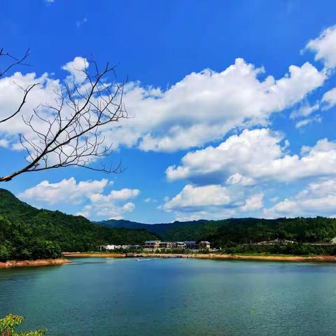 重庆*石柱黄水国家森林公园*太阳湖夏日风景