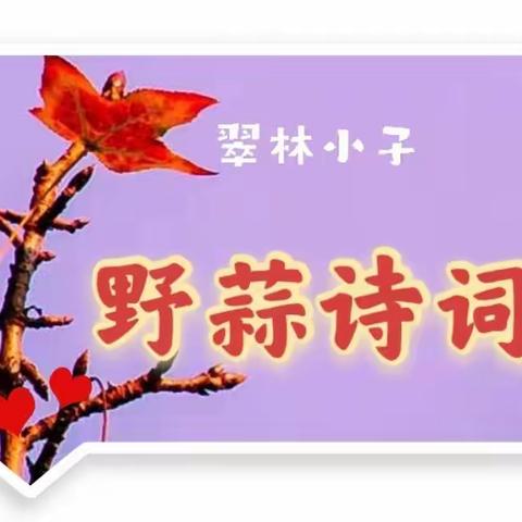 《野蒜诗词》百花吟（七）