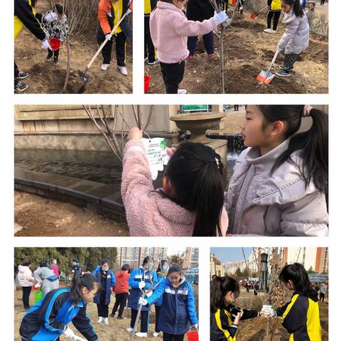 万和城社区携手实验中学、隆泰物业万和城管理处开展“补绿增绿，共建绿色家园”活动