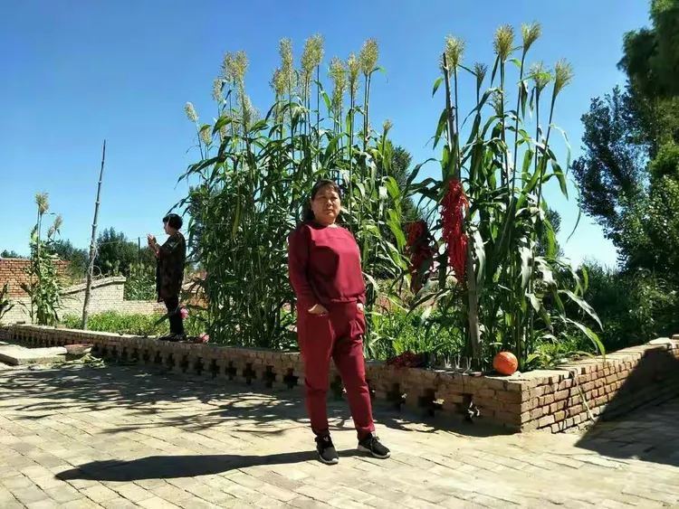 十美女齐聚庄稼院