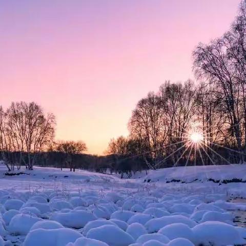 冬雪