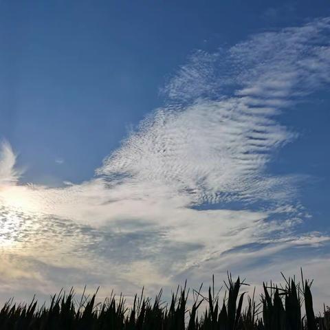 看看天空，就有了应对一切的勇气