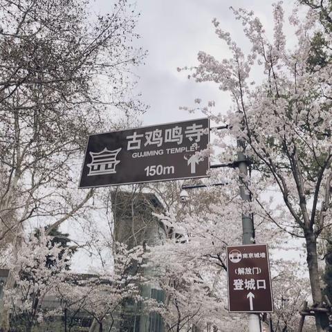 最美人间四月天 我和树叶有个约会-清明实践活动成果展