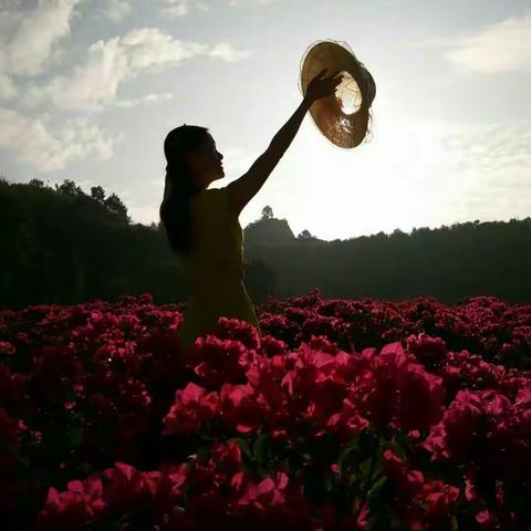 女人如花花似梦