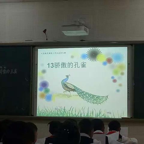 我的美篇