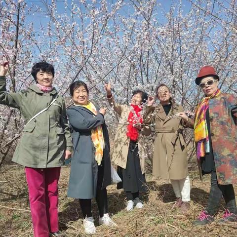 赏花           4月12号，在谭树大哥和芳芳的倡导下，我们一行12人来到了小寺沟镇西水泉村看桃花。