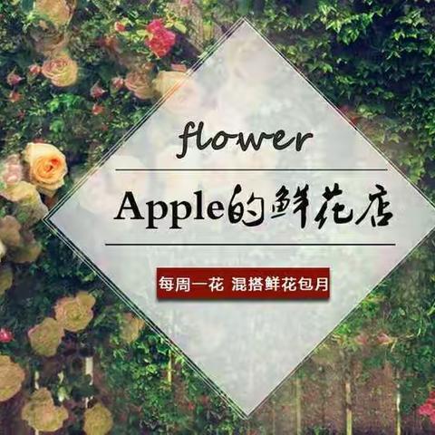 Apple的鲜花店