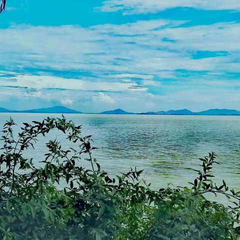 久别重逢情谊浓——无锡商校电视机专业760班入学40年后在“穆桂英美食”酒店欢聚