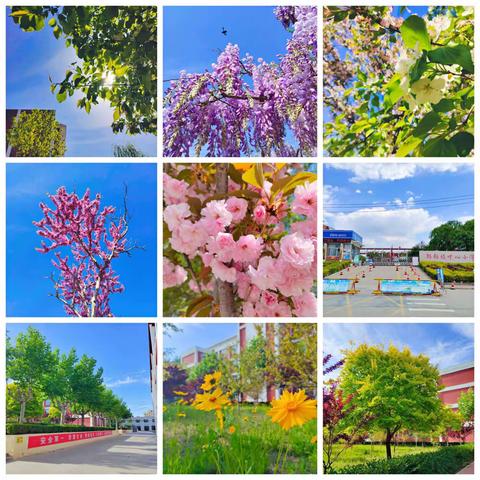 新起点  向未来——记昌乐县一年级语文教学研讨会