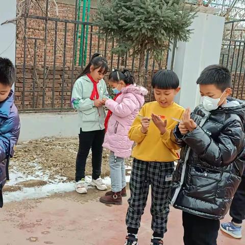 数学与秋天的邂逅———测量树叶长度