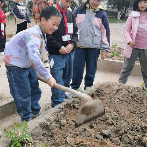 四2班小农场