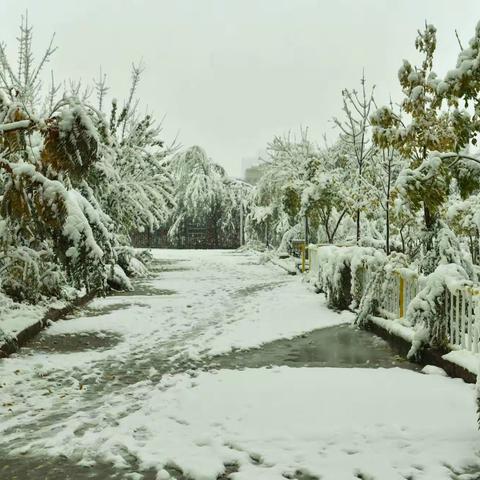 2018年的第一场雪……图文：赵新华