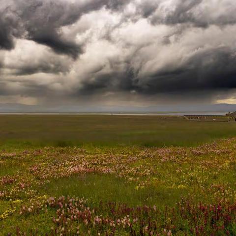 《中国舞协2023甘南行（二）碌曲》