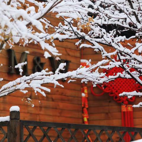 2020年的第一场雪……