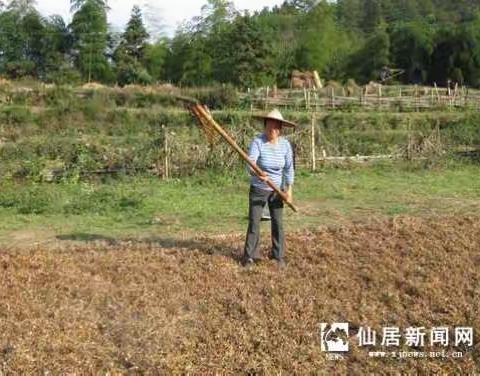 阳光童年（优秀日记）