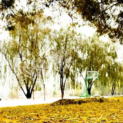 【西行散记】静下心来, 你会听到风中美妙的声音