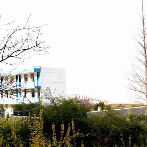 【观风听雨】连云中学：海浪声、汽笛声、钟鸣声，声声悦耳