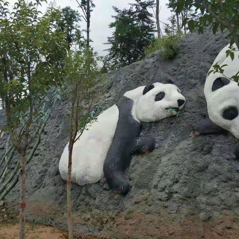 邯郸佛山野生动物园2019.8.12