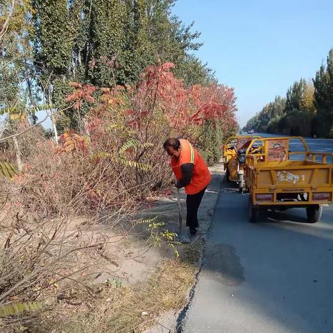 【永年交通】清理枯枝修剪路树  拉开公路秋冬养护序幕