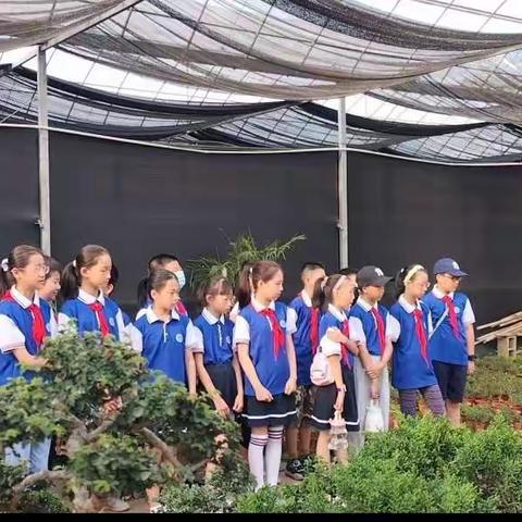 【环城二小】走进花木之窗，学习劳动技能——记五四班暑假劳动技能实践活动