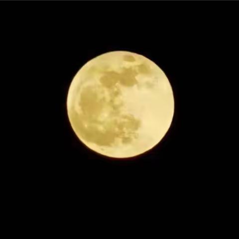 秋天的色彩//方海清