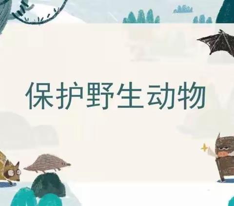 【防控疫情】在家也快乐—榜头中心园亲子游戏教你怎么玩？ （保护野生动物2）【大班段】（五十二）